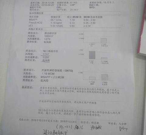 journal_insert_pic_1111523155