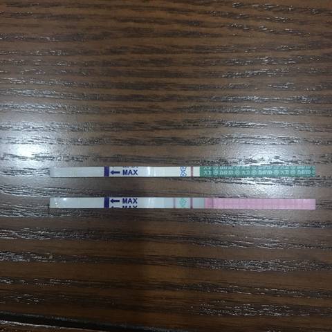 journal_insert_pic_1111451494