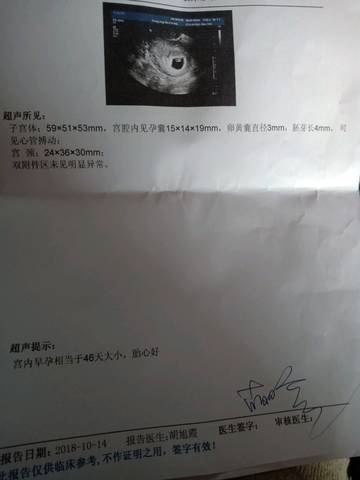 journal_insert_pic_1111469840