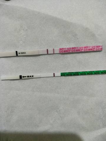 journal_insert_pic_1112215910