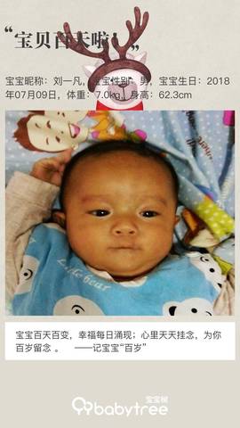 journal_insert_pic_1112970842