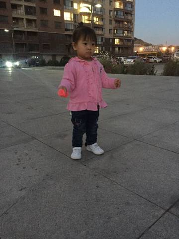 journal_insert_pic_1113268361