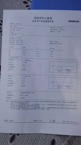 journal_insert_pic_1113440239