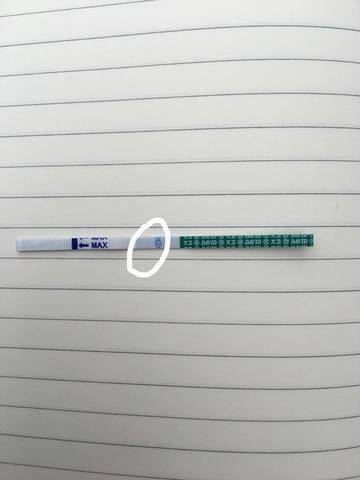 journal_insert_pic_1114589164