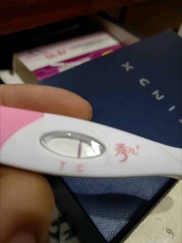 journal_insert_pic_1114866888