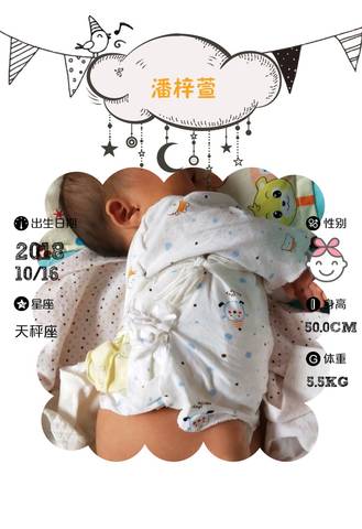 journal_insert_pic_1115188163