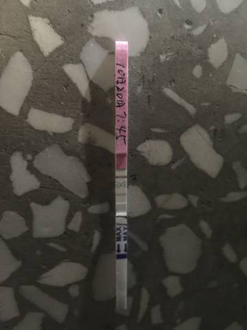 journal_insert_pic_1115841147