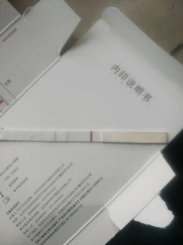 journal_insert_pic_1115682116
