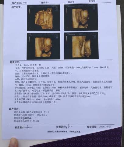journal_insert_pic_1115936008