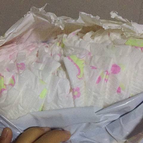 journal_insert_pic_1115865259