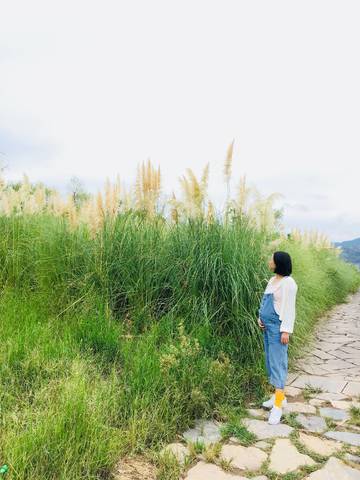 journal_insert_pic_1115948279