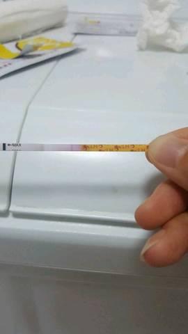 journal_insert_pic_1115842536
