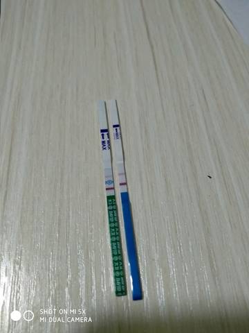 journal_insert_pic_1116383293