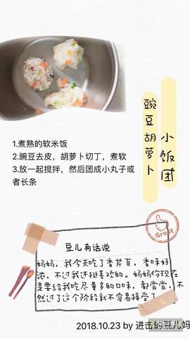 journal_insert_pic_1117204055