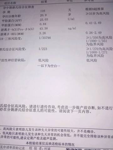 journal_insert_pic_1117464538