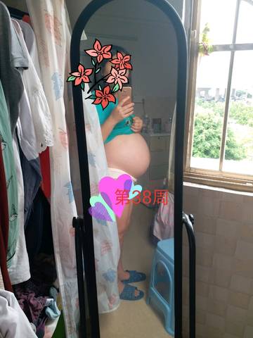 journal_insert_pic_1118172352