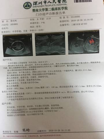 journal_insert_pic_1118975525