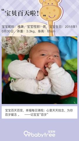 journal_insert_pic_1120975847