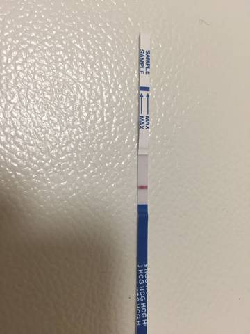 journal_insert_pic_1123039594