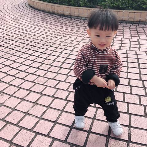 journal_insert_pic_1123184081