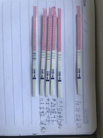 journal_insert_pic_1123087121