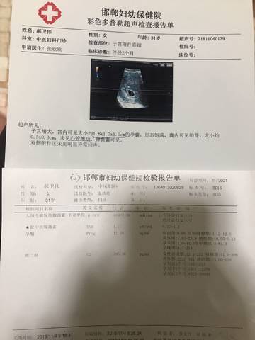 journal_insert_pic_1123752640