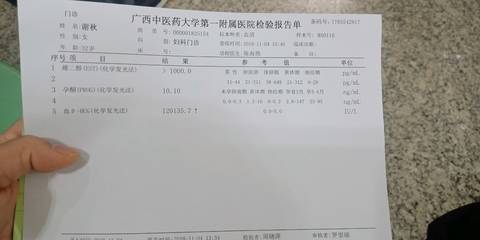 journal_insert_pic_1124696939