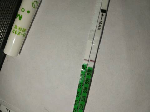 journal_insert_pic_1124488564