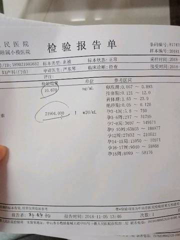 journal_insert_pic_1124687095