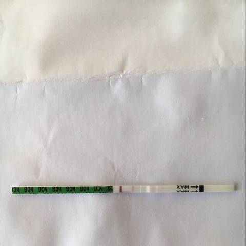 journal_insert_pic_1124985938