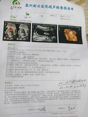 journal_insert_pic_1125135013