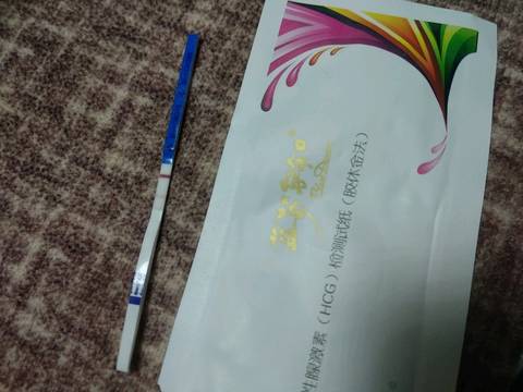 journal_insert_pic_1125065905