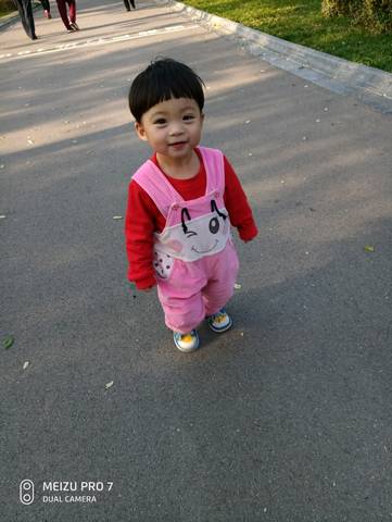 journal_insert_pic_1125265383