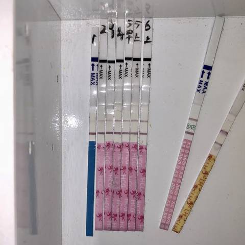 journal_insert_pic_1125740335