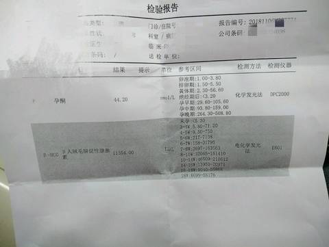 journal_insert_pic_1125977406