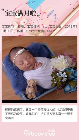 journal_insert_pic_1126362972