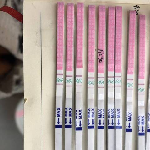 journal_insert_pic_1126272129