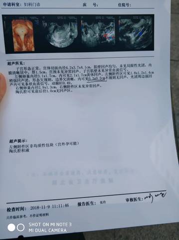 journal_insert_pic_1126758706