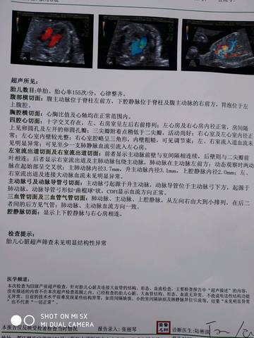 journal_insert_pic_1126745343