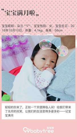 journal_insert_pic_1126784458