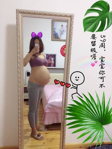 journal_insert_pic_1127265802
