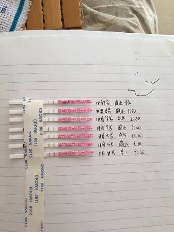 journal_insert_pic_1127622491