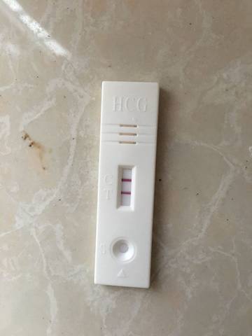 journal_insert_pic_1129204727