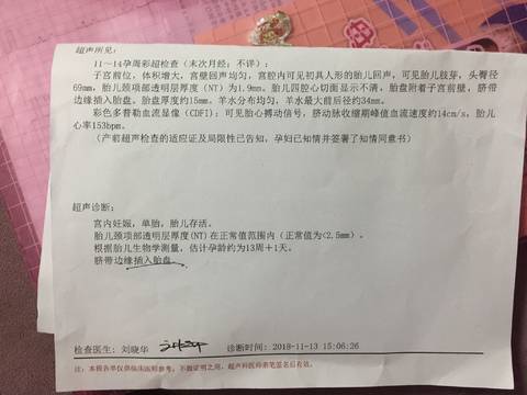 journal_insert_pic_1129103898