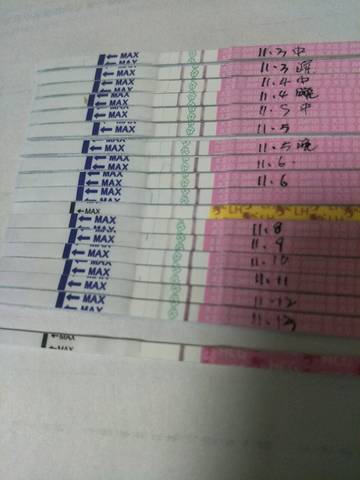 journal_insert_pic_1128705747