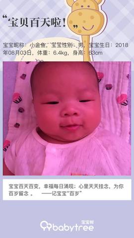 journal_insert_pic_1129845580