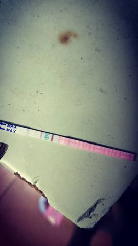 journal_insert_pic_1129839386