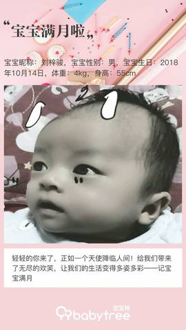 journal_insert_pic_1129409895