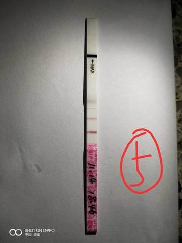 journal_insert_pic_1129890468