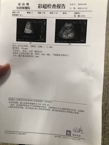 journal_insert_pic_1130314041